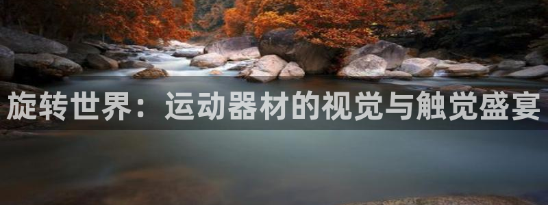 海南风速体育官网下载:旋转世界:运动器材的视觉与触觉盛宴