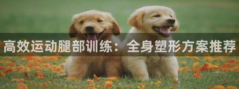 注册风速体育官方正版app:高效运动腿部训练:全身塑形方案推