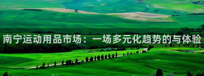 风速体育官网下载:南宁运动用品市场:一场多元化趋势的与体验