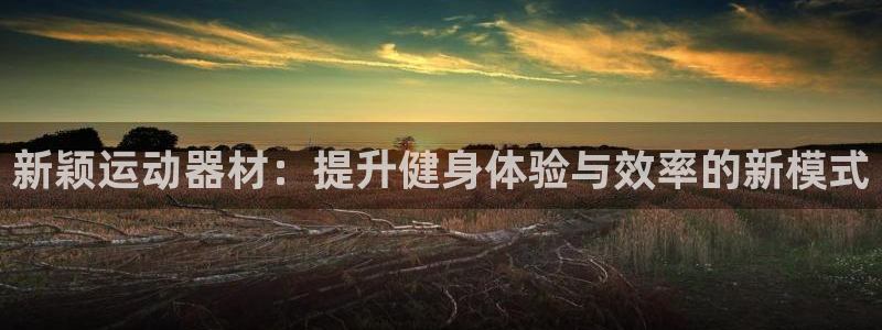 风速体育官网下载注册:新颖运动器材:提升健身体验与效率的新模