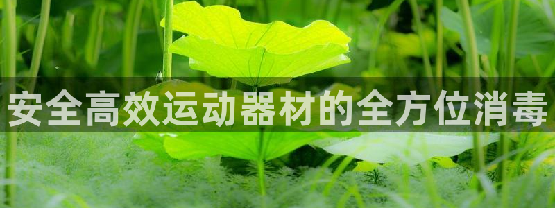 风速体育官网下载联系电话:安全高效运动器材的全方位消毒