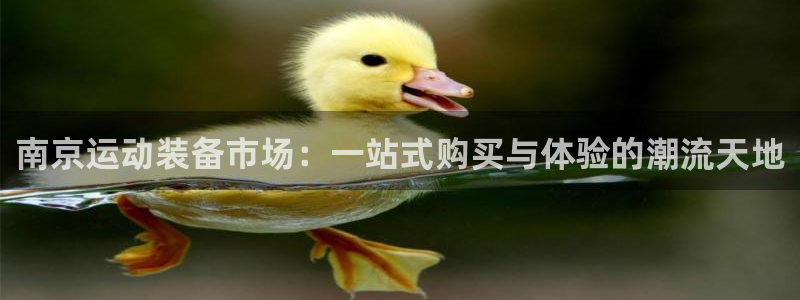 风速体育官网下载招商电话地址:南京运动装备市场:一站式购买与