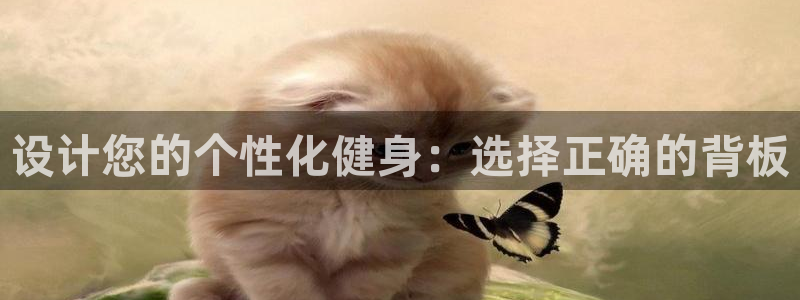 风速体育官网下载平台注册要钱吗安全吗:设计您的个性化健身:选